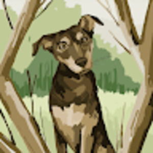 Meet your Posher, Heaven